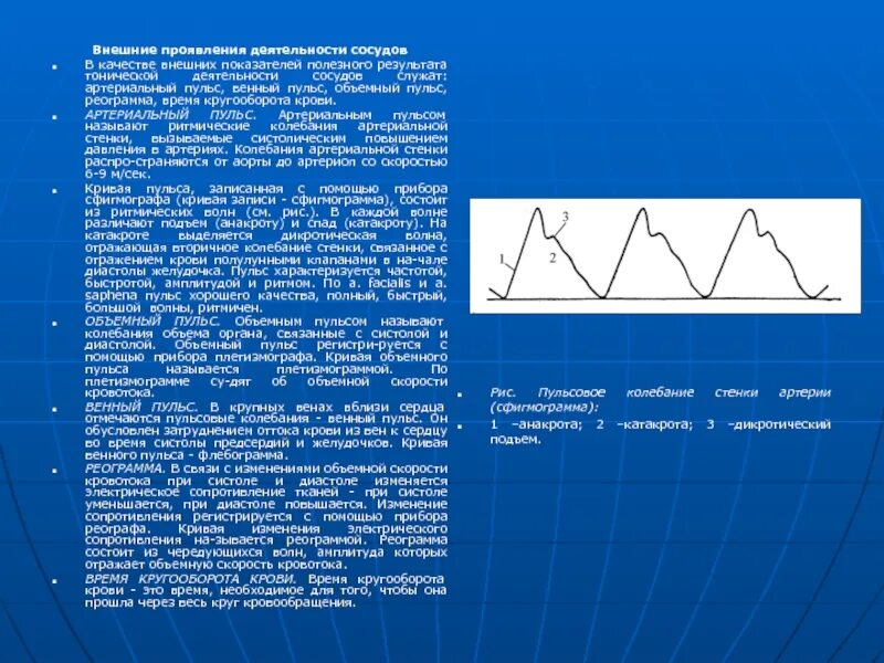 Пульсовые колебания стенок артерий возникают при сокращении