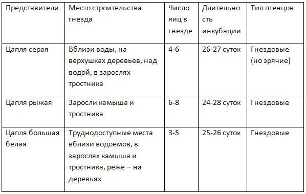 Отряды птиц таблица. Сравнительная характеристика отрядов птиц. Таблица характеристика отрядов птиц. Признаки отрядов птиц таблица.