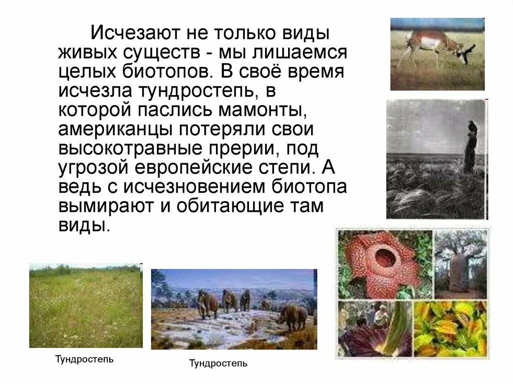 Время это живое существо