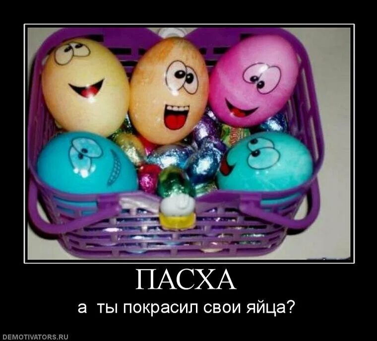 С пасхой прикольные. Яйцо пасха. готовимся к пасхе прикольные. смешные поздравления с пасхой. прикольные пасхальные яйца.
