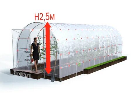 Рехт пенза каталог товаров 2024