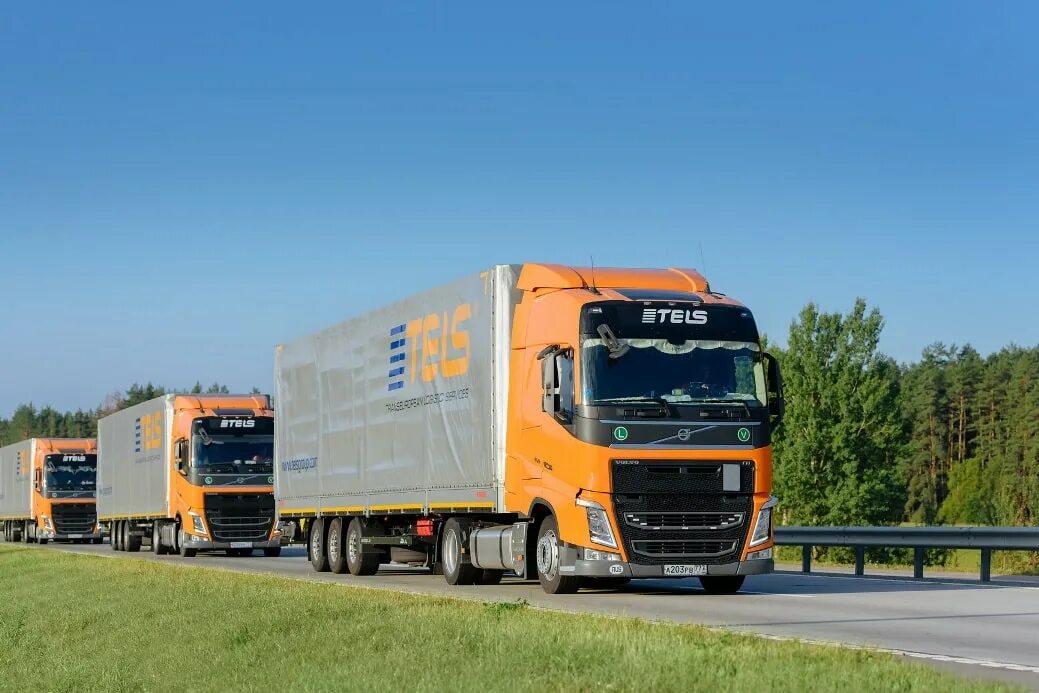 ТЕЛС карго. Tels Cargo транспортная компания. Volvo tels Cargo. Белорусские транспортные компании.