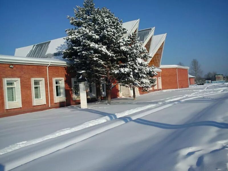 П березовый солнечного. П березовый солнечного района Хабаровского края. Посёлок берёзовый Хабаровский край Солнечный район. Станция Постышево поселок березовый Хабаровский край. Поселок Березовский Хабаровский край.