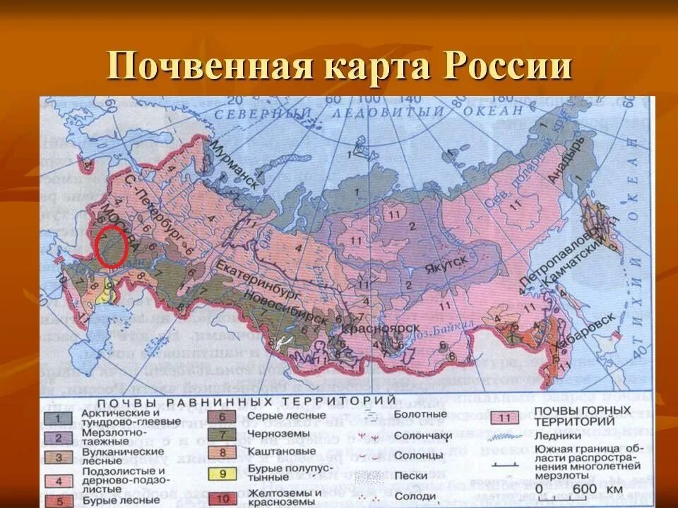 Большая часть расположена. Типы почв России карта. Карты карта почв России. Виды почв на карте России. Карта плодородности почв России.