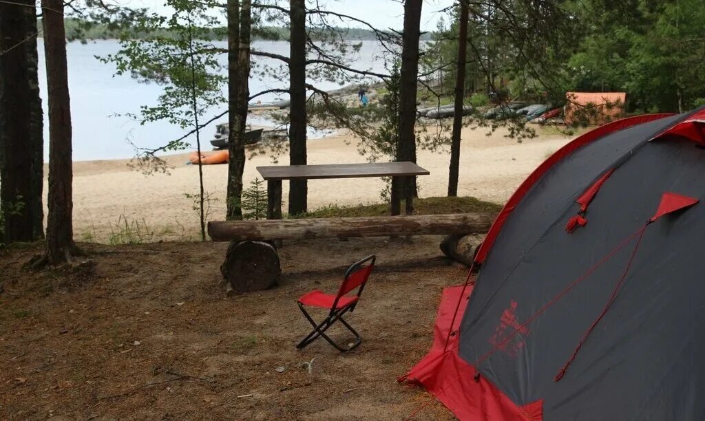 Camping park. Кемпинг парк Ладога. Парк Ладога кемпинг в Ленинградской области. Кемпинг на Ладоге в Карелии. Палаточный кемпинг парк Ладога.