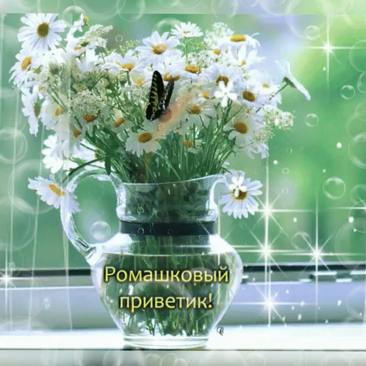 Ромашкового дня