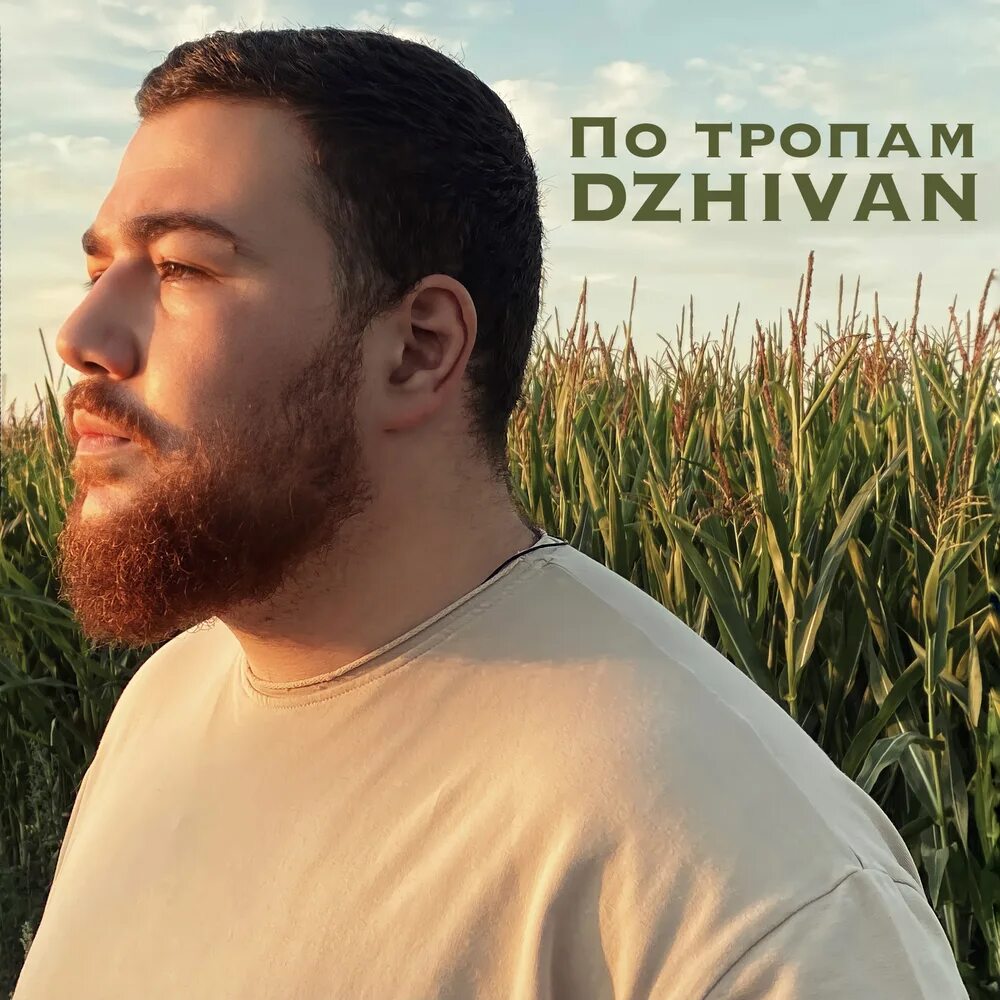 Серж амирян. Неразбериха dzhivan. Автор лайфа-dzhivan. Dzhivan автор. Dzhivan фото.