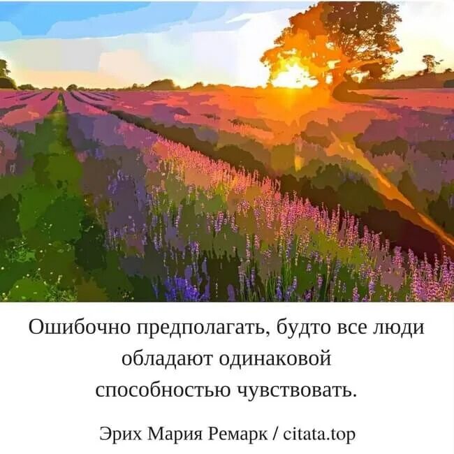 Ошибочно предполагать будто все люди. Ошибочно полагать что все люди обладают одинаковой способностью. Все люди обладают разной способностью чувствовать. Заметить предполагать