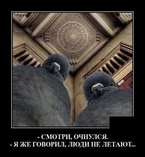 Проснется скажу