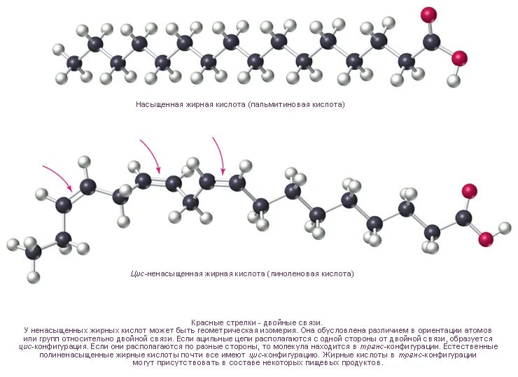 Формулы насыщенных и ненасыщенных жирных кислот. Насыщенные жирные кислоты строение. Химическая формула жирных кислот. Насыщенные и ненасыщенные жирные кислоты формулы.