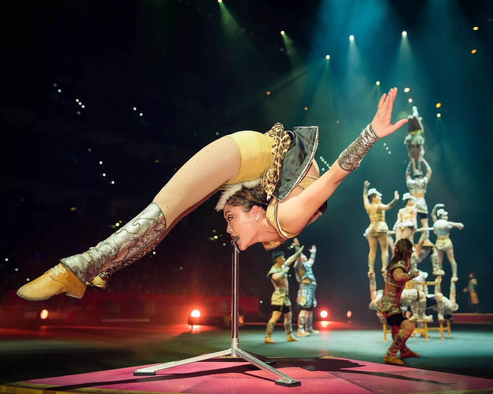 R 34 the amazing circus. Цирк Конторсия каучук. Алина Руппель Конторсия. Цирк Алина Руппель. Цирк Монголии Конторсия.