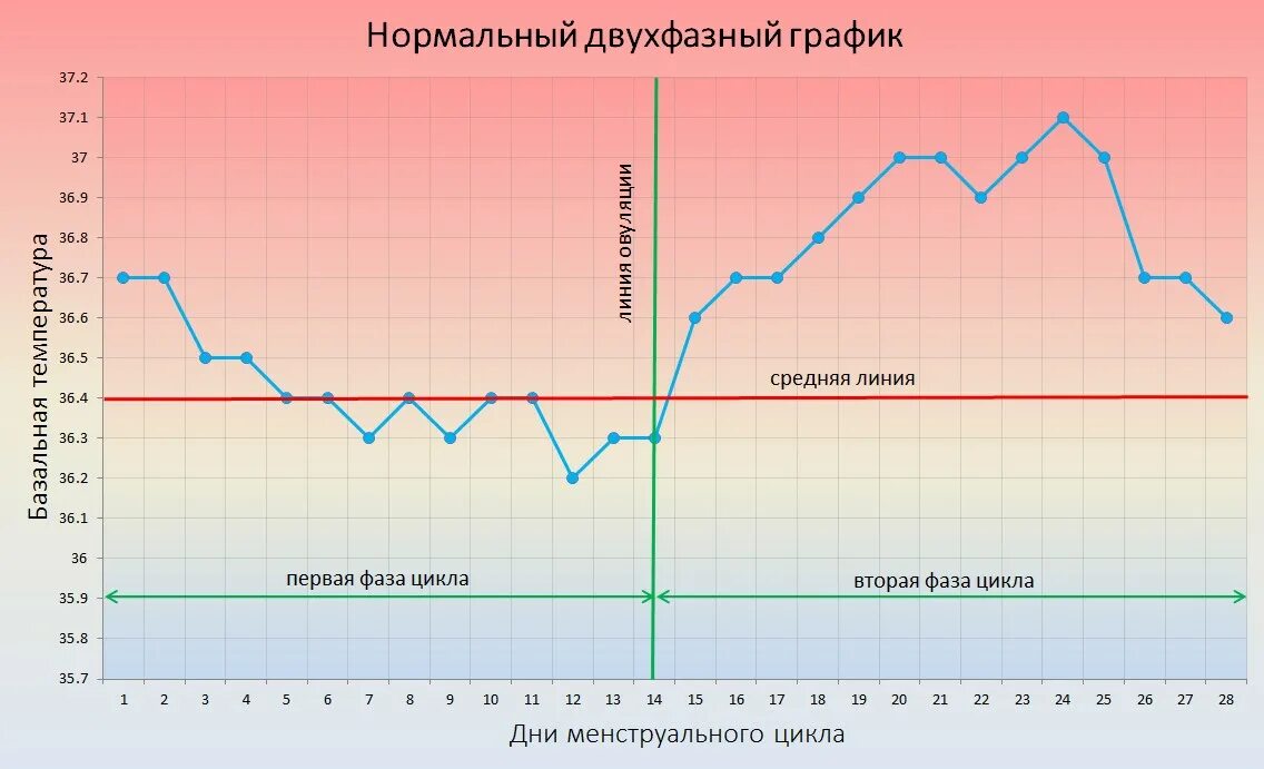 Дни низкой вероятности забеременеть. Беременность цикл вероятность. График вероятности забеременеть. Вероятность беременности по дням цикла. Вероятность зачатия по дням цикла в процентах.