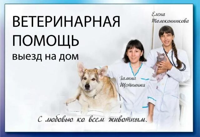 Врача на дом озерск. Ветлечебница озерск. ветеринарные услуги на дому. щетинин ветеринар.