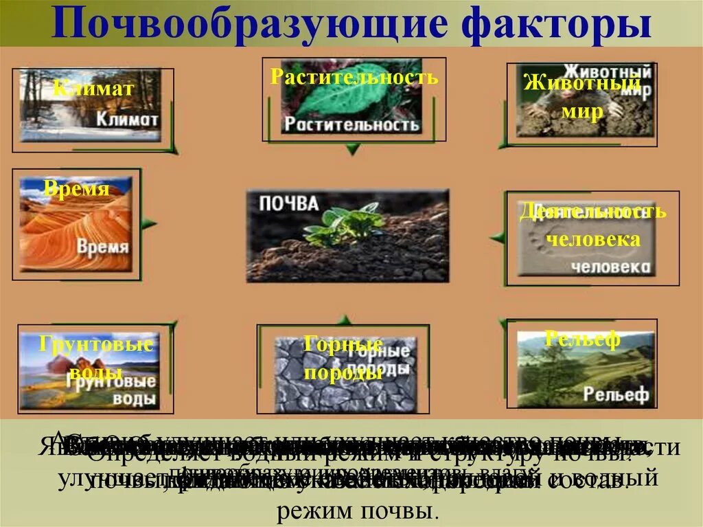 Таблица факторы почвообразования география 8 класс. Схема основные почвообразующие факторы. Почвообразующие факторы 8 класс география. Почвообразующие факторы 8 класс география. Почвообразующие факторы.