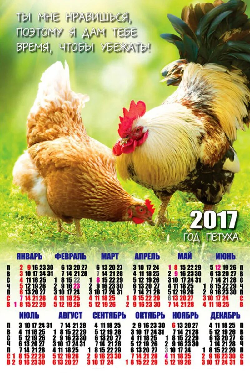 Календарь 2017 месяцам. Календарь 2017 года. Календарь с петухом. 2017 Год год. Календарь 2017 год петуха.