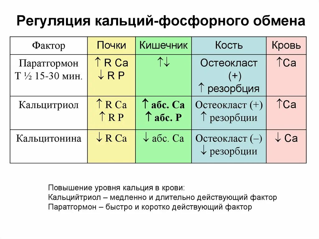 Повышенный кальций в крови у мужчин. Уровень фосфора и кальция в крови в норме. Регуляция обмена фосфора биохимия. Показатели уровня кальция в крови. Показатели фосфора кальция в крови.