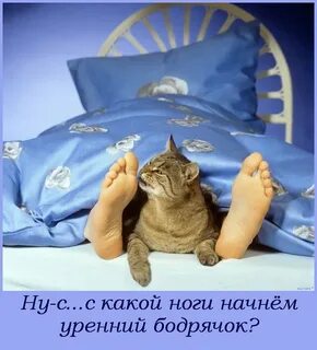 Юморные картинки с добрым утром надписью