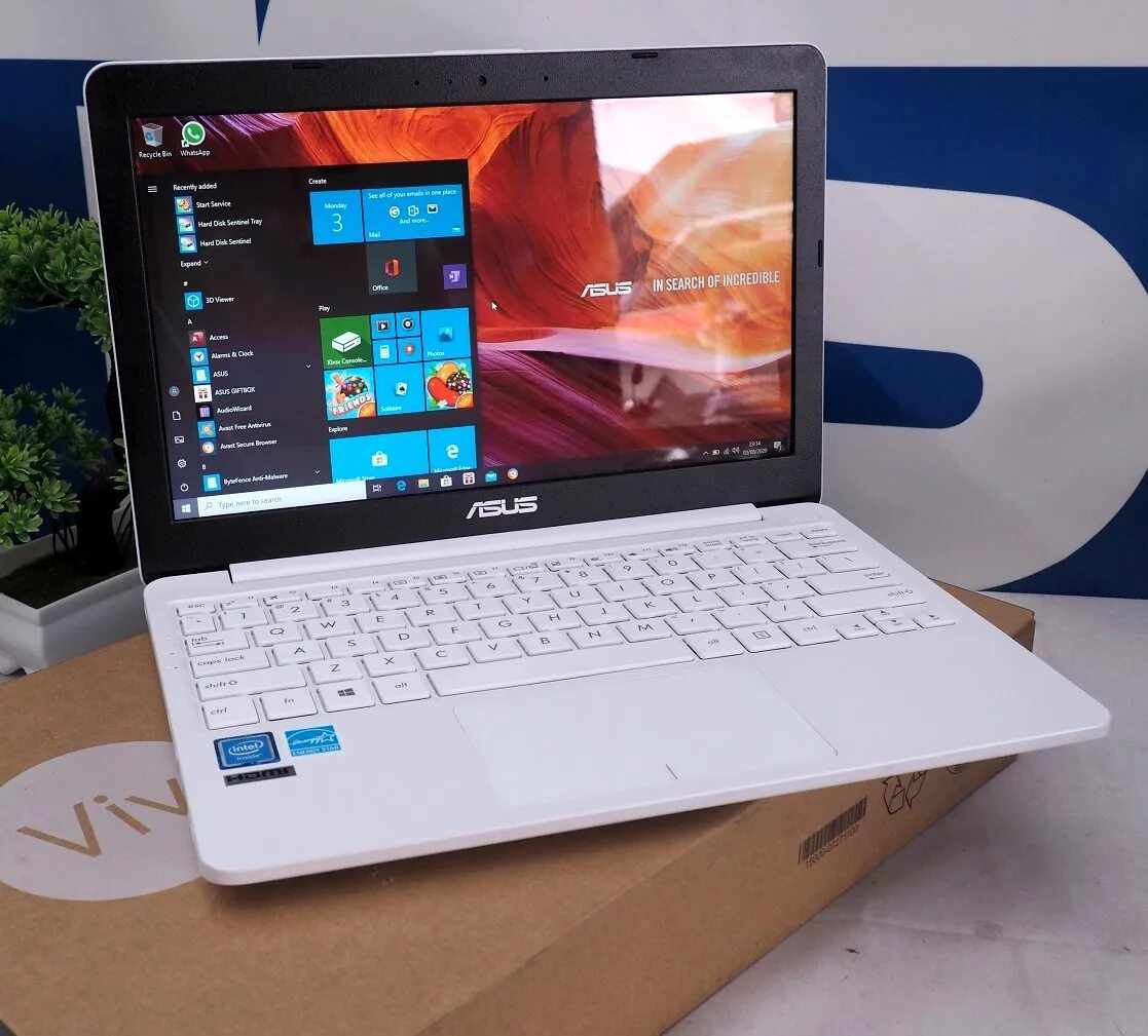 Асус r565m. Асус е 203. ASUS VIVOBOOK r565ma-br203t. ASUS VIVOBOOK e203ma. Ноутбук asus e510ka5100 0c8kxbjx10