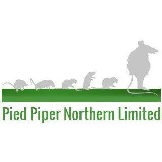 Pied piper перевод