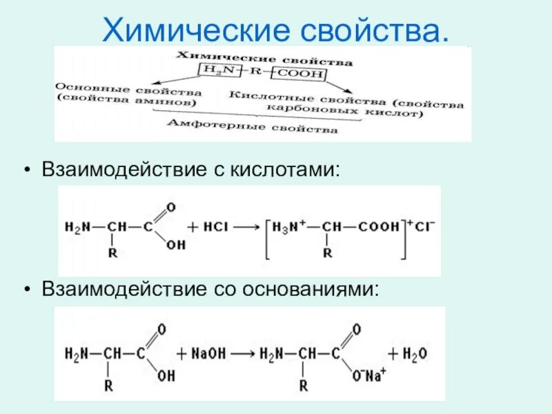 Взаимодействие аминокислот с кислотами реакция. Химические свойства аминокислот взаимодействие с кислотами. Взаимодействие аминоуксусной кислоты с аминоуксусной кислотой. Химические свойства аминокислот схема. Аминоуксусная кислота хлорид натрия