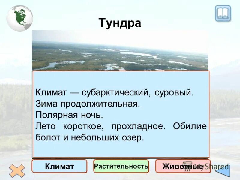 Почему тундра является безлесной. Климат тундры. Субарктический климат. Климатические условия тундры. Характеристика климата тундры.