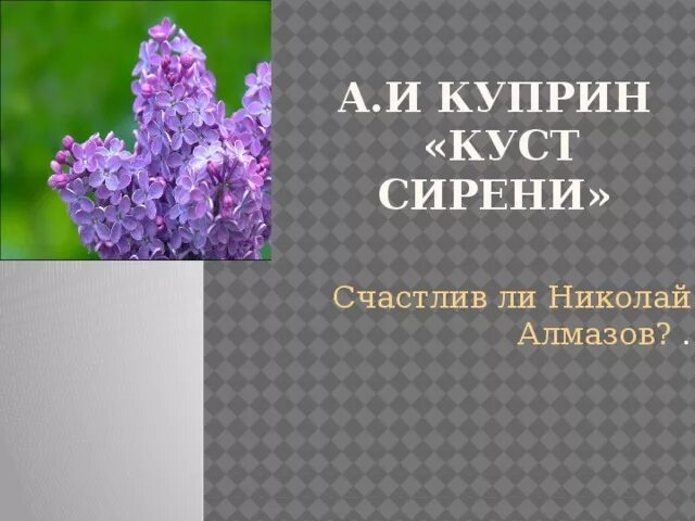 Куст сирени Куприн. Куприн сирень. Куст сирени книга.