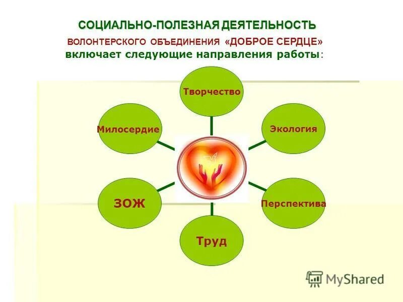 Социальный проект добровольческая деятельность Ресурсным центром добровольчества проведен мониторинг добровольческой деятельнос