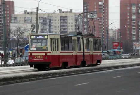 240 автобус спб