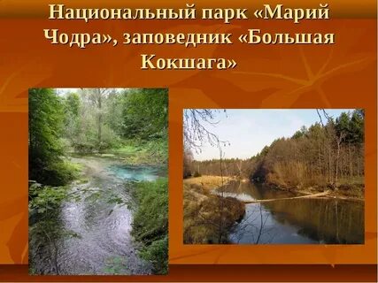 Заповедник большая кокшага республики марий эл