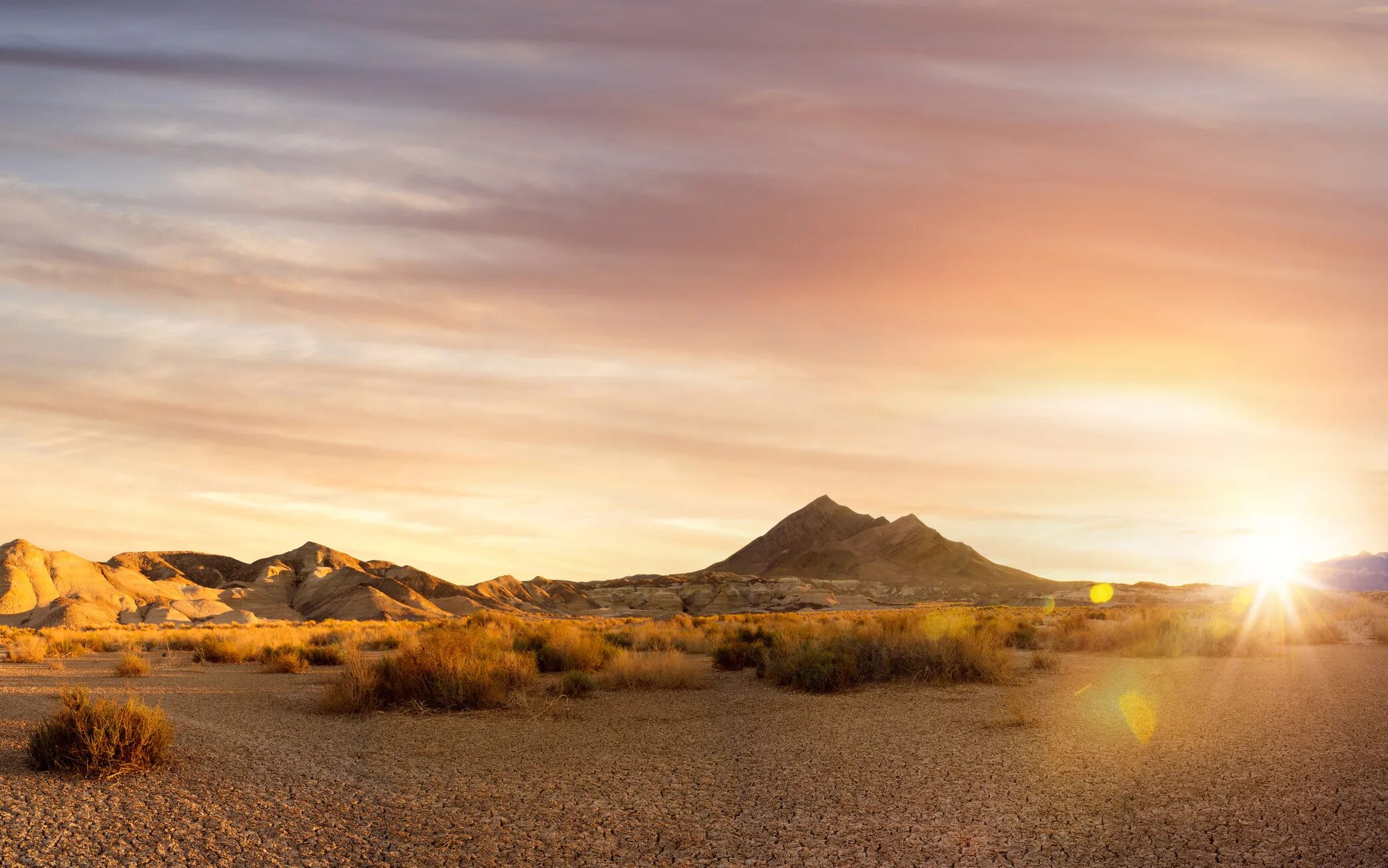 Закат в Неваде\. Desert Bush Sunset. Journey between