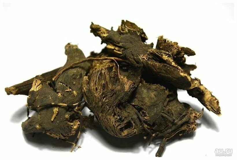 Экстракт корневища цимицифуги препараты. Цимицифуги кистевидной корневищ экстракт. Клопогон цимицифуга корень. Цимицифуга препараты. Клопогон цимицифуга корень.