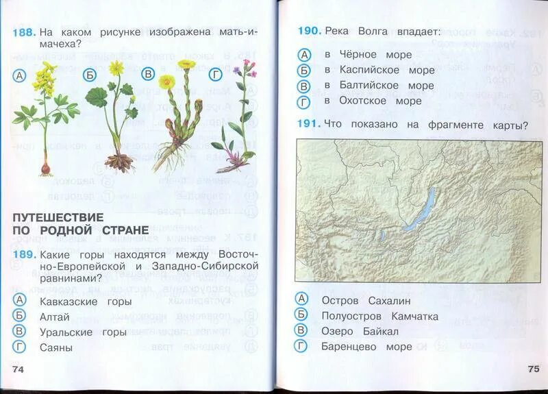 Оценка тестов по окружающему миру