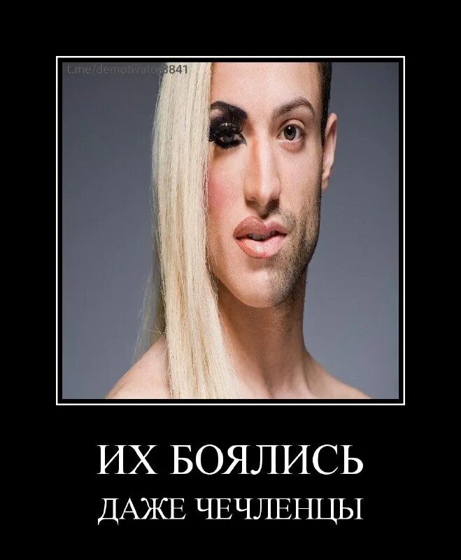 телеграм бот демотиватор. демотиватор. демотиватор тг. блокировка телеграм демотиватор. фанфики телеграм и роскомнадзор.