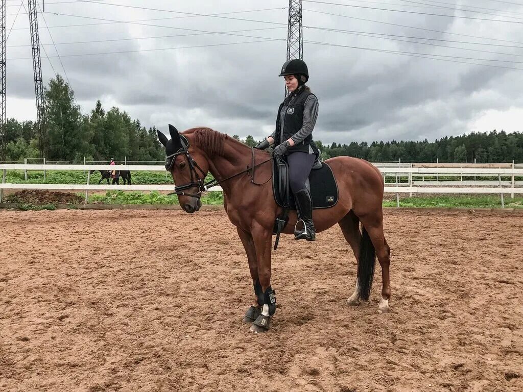 Конный клуб horse. Кск сивка. Кск стиль спб. Микрорайон анненки калуга. Лагерь робин гуд калужская область.