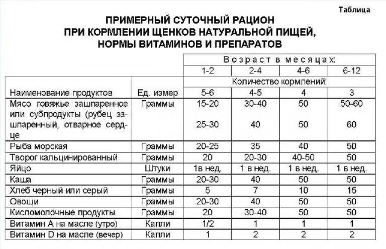 Сколько раз кормить щенка кормом. Норма еды для щенка 1.5 месяца. Рацион питания щенка 3 месяца. Суточный рацион для щенков мелких пород. Норма кормления щенка лабрадора в 1 месяц.