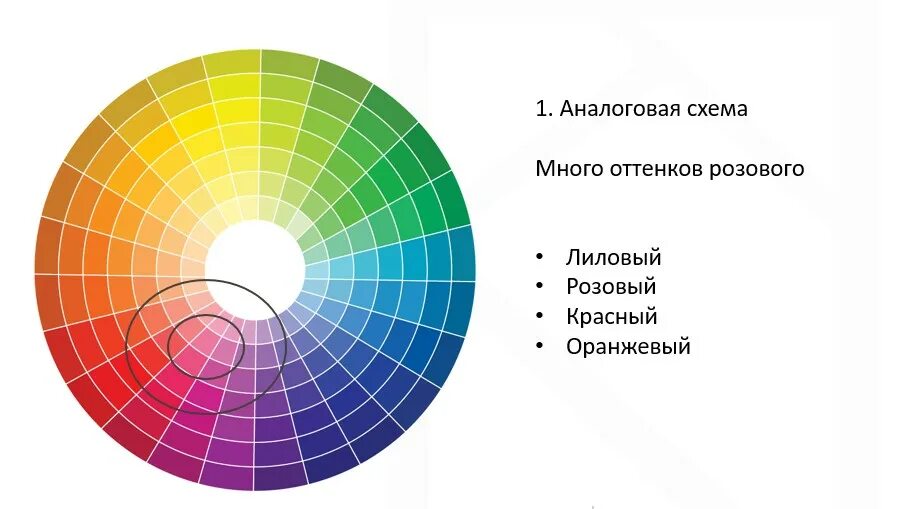 Противоположный цвет розовому цвету. Цветовой круг. Комплементарное сочетание цветов. Противоположные цвета. Сочетание противоположных цветов.