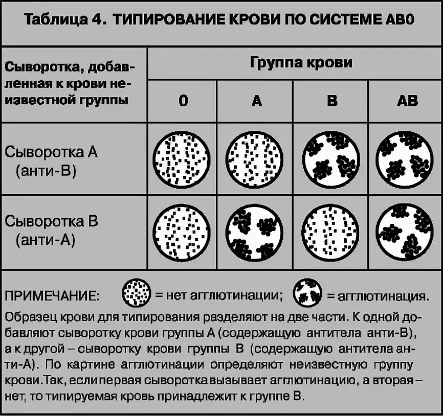 Плотные элементы