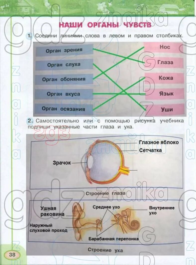 Рождение тетради окружающий мир 3 класс схема