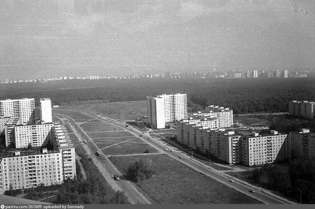 Район Ясенево в 1970 году. Ясенево в 1976 году. Ясенево СССР. Ясенево 80-е. Район ясенево улицы