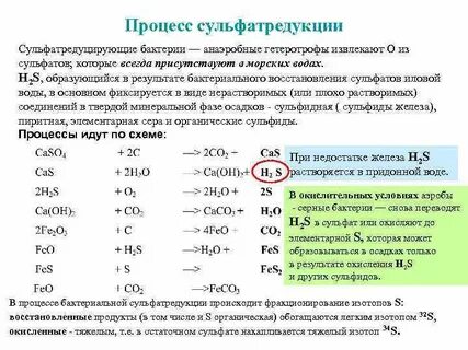 При окислении серы образуется