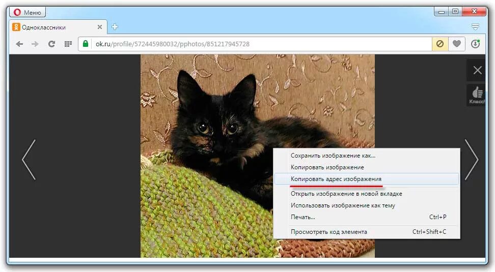 Копировать адрес изображения. Копировать ссылку на изображение. Как Скопировать картинку. Копирование изображений с интернета. Просмотр скопировать ссылку