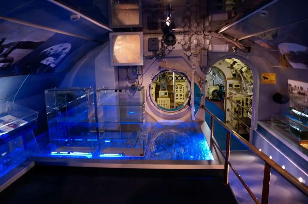 Музей подводная лодка. Музей подводной лодки в Тушино. Подводная лодка Сходненская музей. Речной вокзал музей подводная лодка.