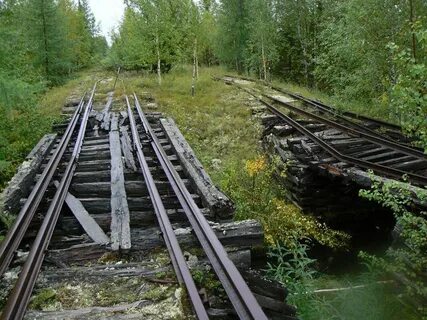 Ветка железной дороги