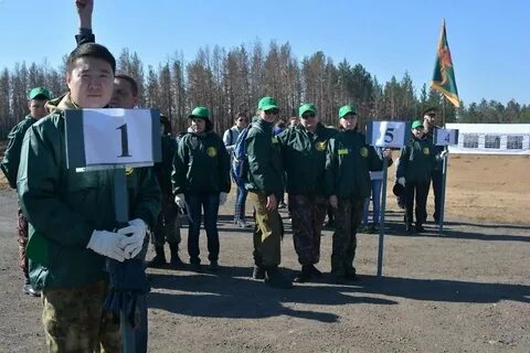 Гку лесничества забайкальского края