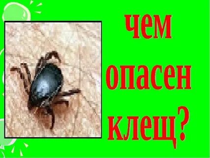 Клещи 2 класс окружающий мир