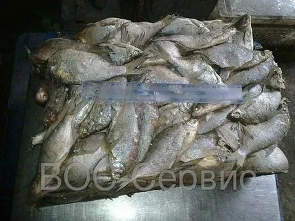 Рыба оптом владивосток