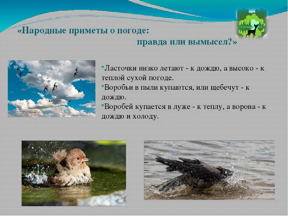 Примет погоды. Народные приметы. Приметы на погоду. Народных примет о погоде. Природные приметы.