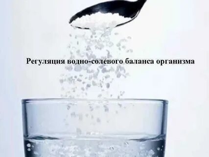 Водно солевой баланс в организме