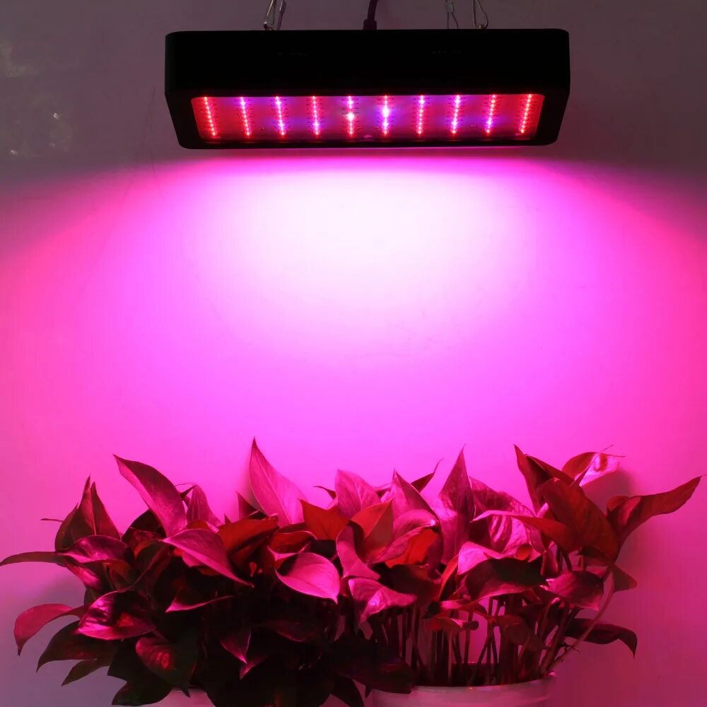 Led grow Light 300w. Фитолампа 300w полный спектр led. Фитолампа 300 led полный спектр led. Фитолампа полного спектра 300 Вт. Led полный спектр