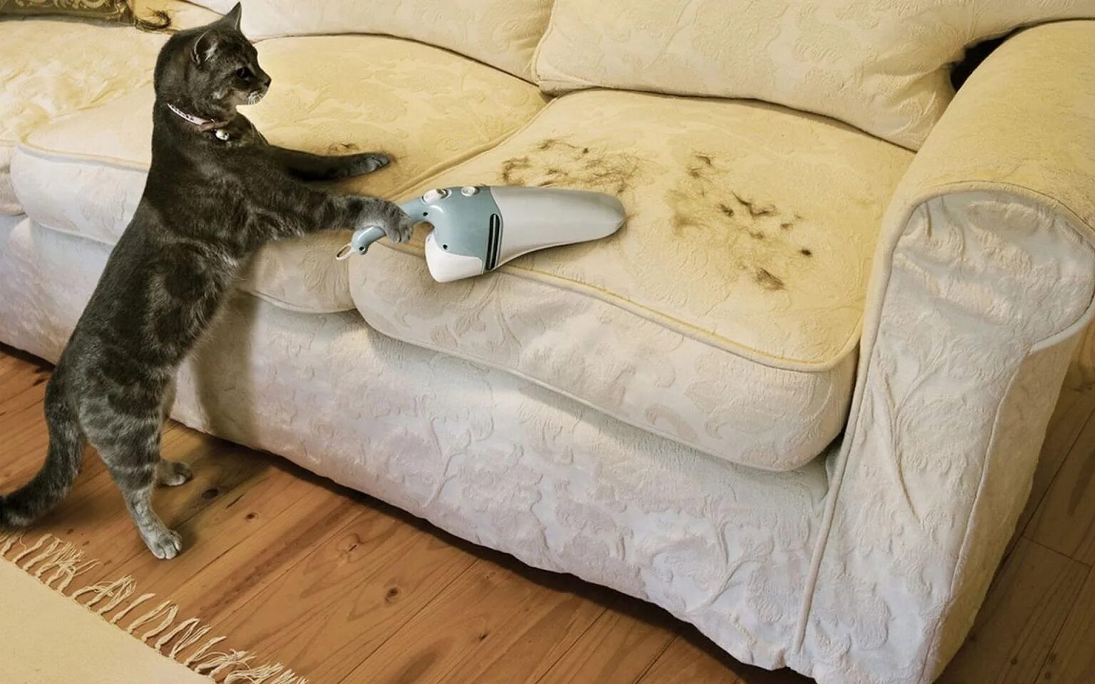 Котэ чистим